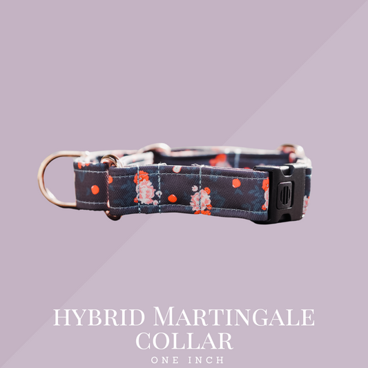 Hybrid Martingale Collar 1 Inch