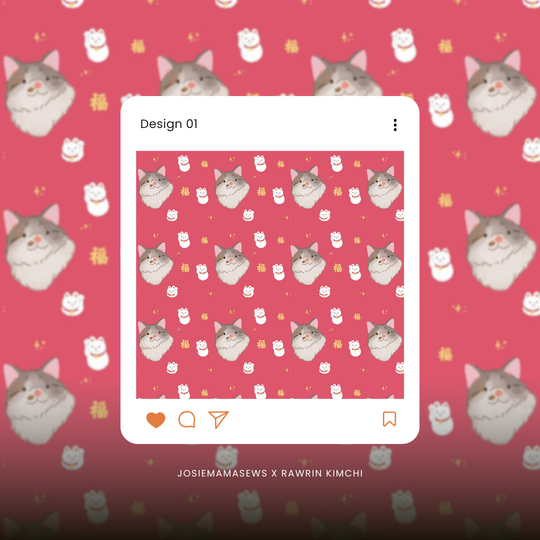 CNY Custom Pet Illustration Bundle – Rawrin Kimchi