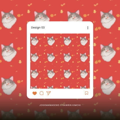 CNY Custom Pet Illustration Bundle – Rawrin Kimchi