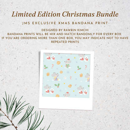 Christmas Charity Bundle (D)