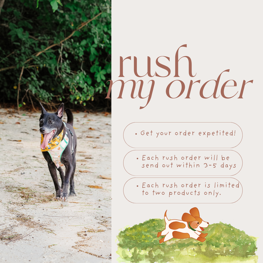 Rush My Order