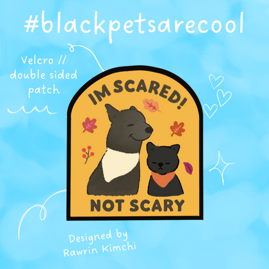 Im Scared Not Scary Message Patch