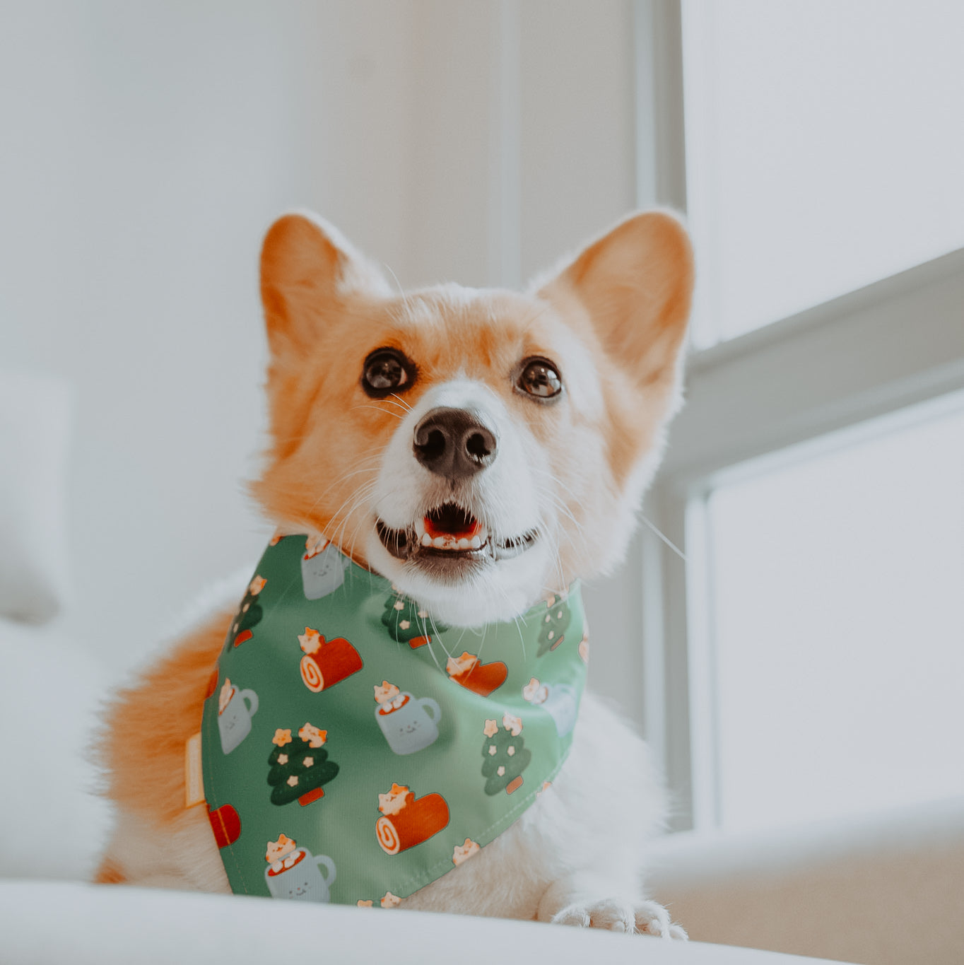 Logcakes & Marshmallows Reversible Bandana