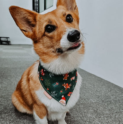 Santa Holiday (Green) Reversible Bandana