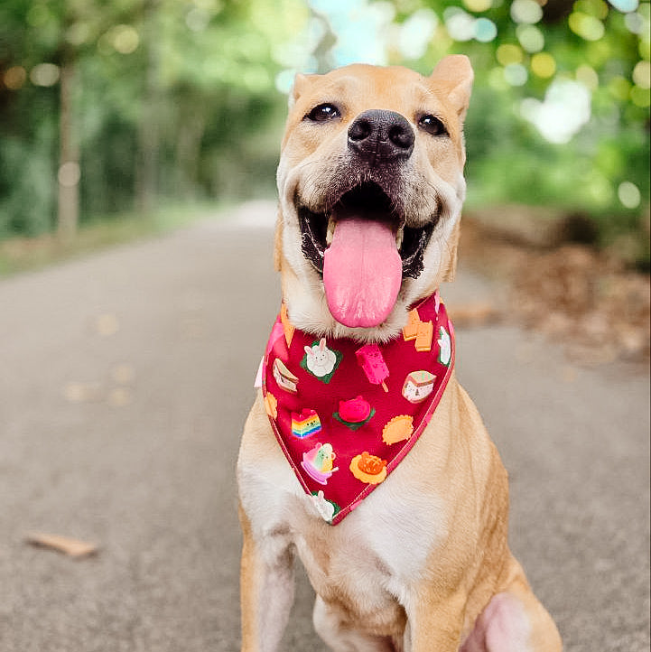 Animal Snacks (Maroon) Reversible Bandana