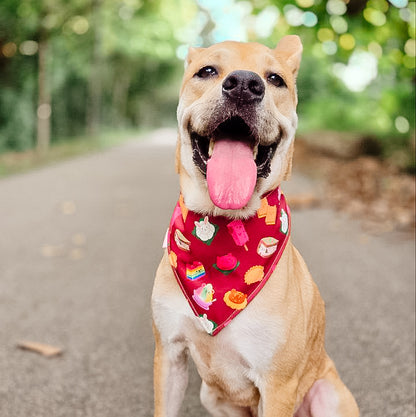 Animal Snacks (Maroon) Reversible Bandana