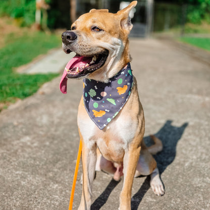 Dino World Reversible Bandana