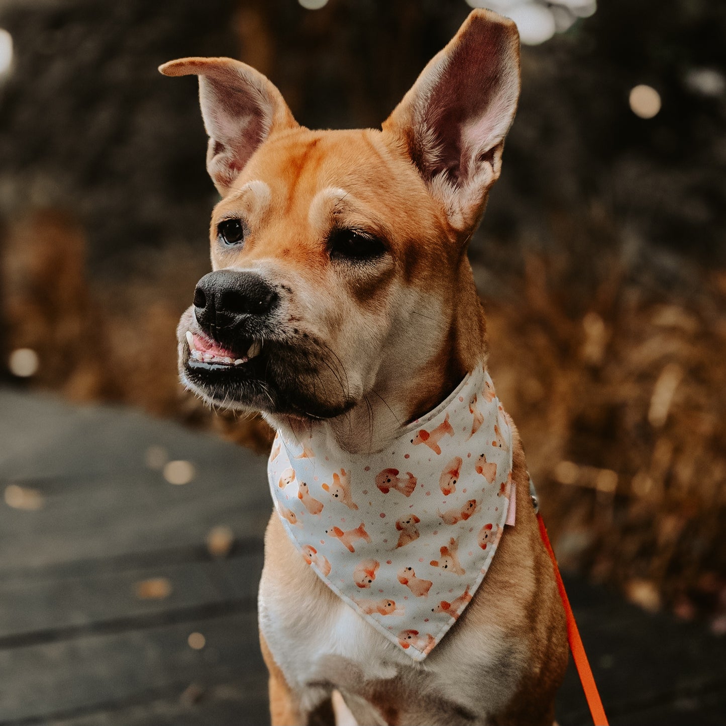 Watercolor Lil Brown Doggo Reversible Bandana