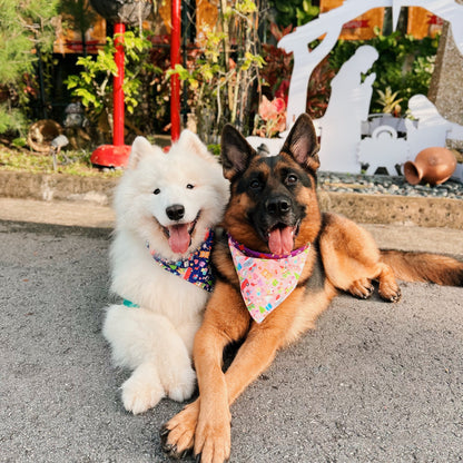 Santa’s Workshop (Pink) Reversible Bandana
