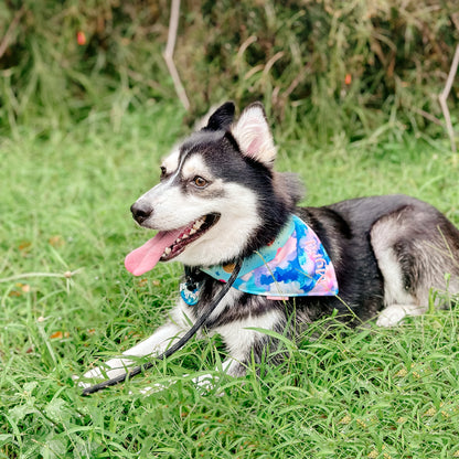 Watercolor Clouds Reversible Bandana