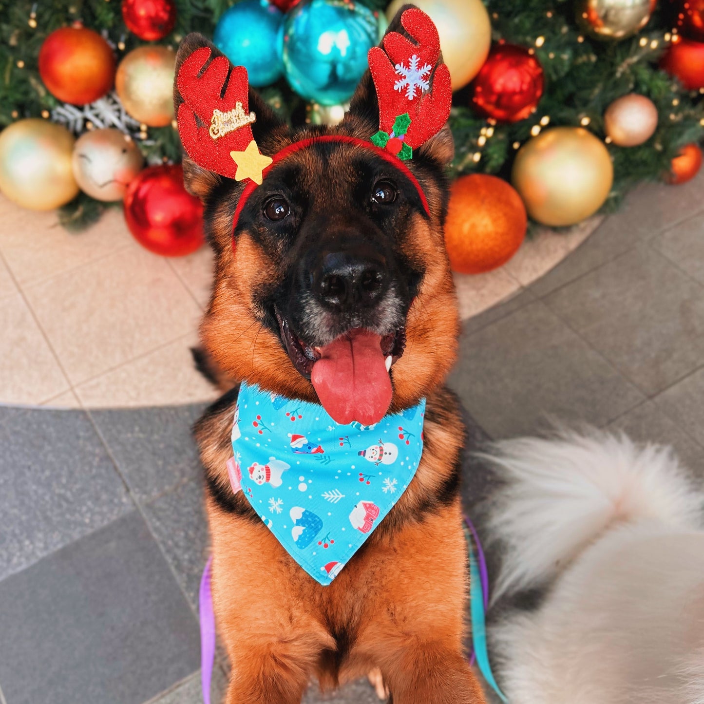 Fuji-san Winter (Blue) Reversible Bandana