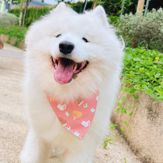 Mahjong Paws Reversible Bandana
