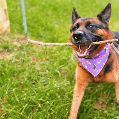 Pawty Dogs Reversible Bandana