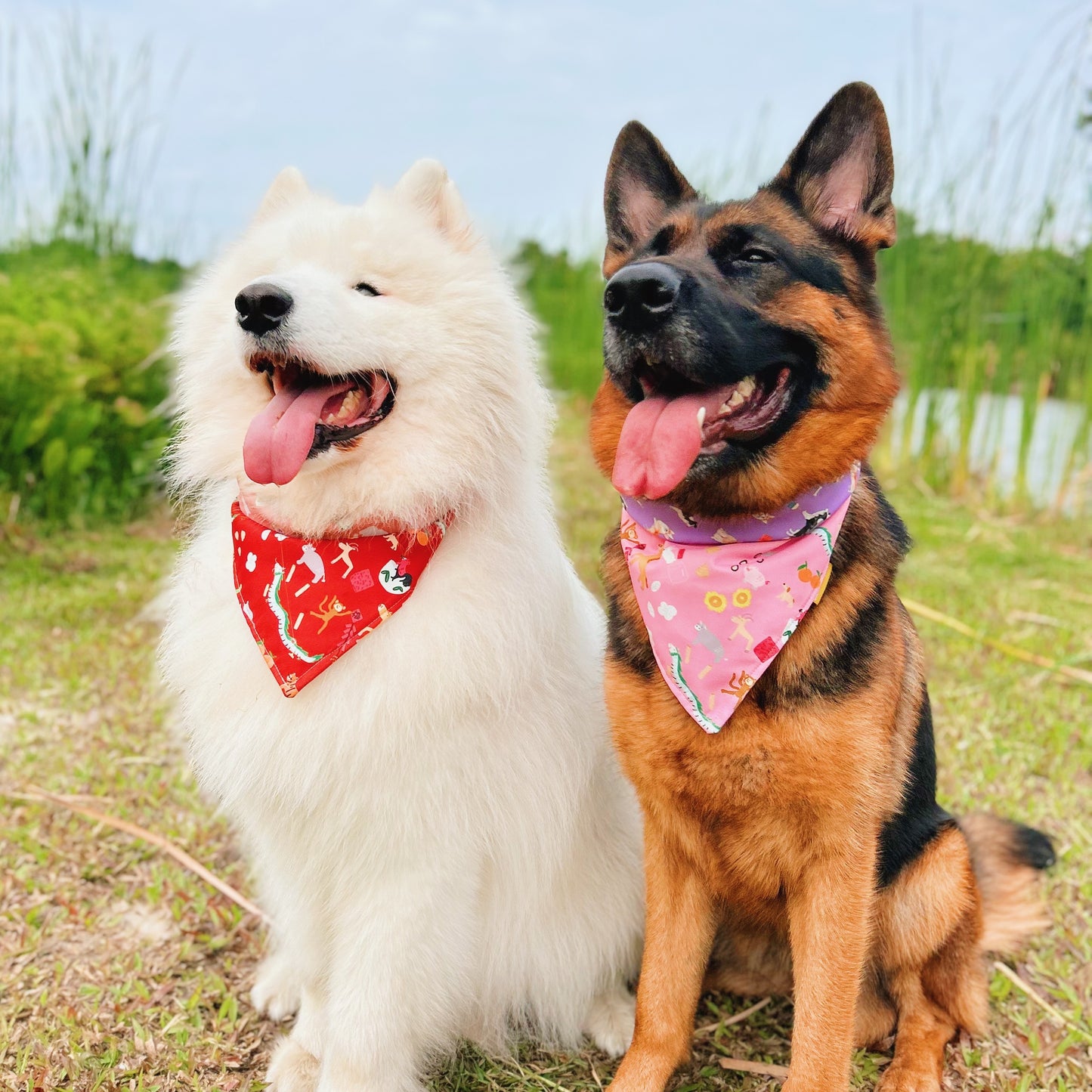 Zodiac Parade Reversible Bandana (Pink)