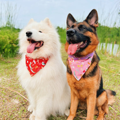 Zodiac Parade Reversible Bandana (Pink)