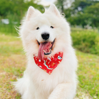 Zodiac Parade Reversible Bandana (Red)