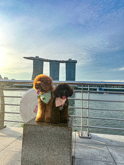 SG Rescue Dogs Reversible Bandana