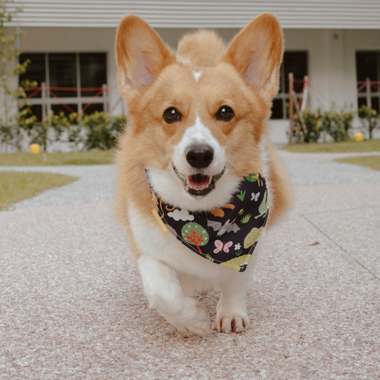 SG Wildlife (Dark Blue) Reversible Bandana
