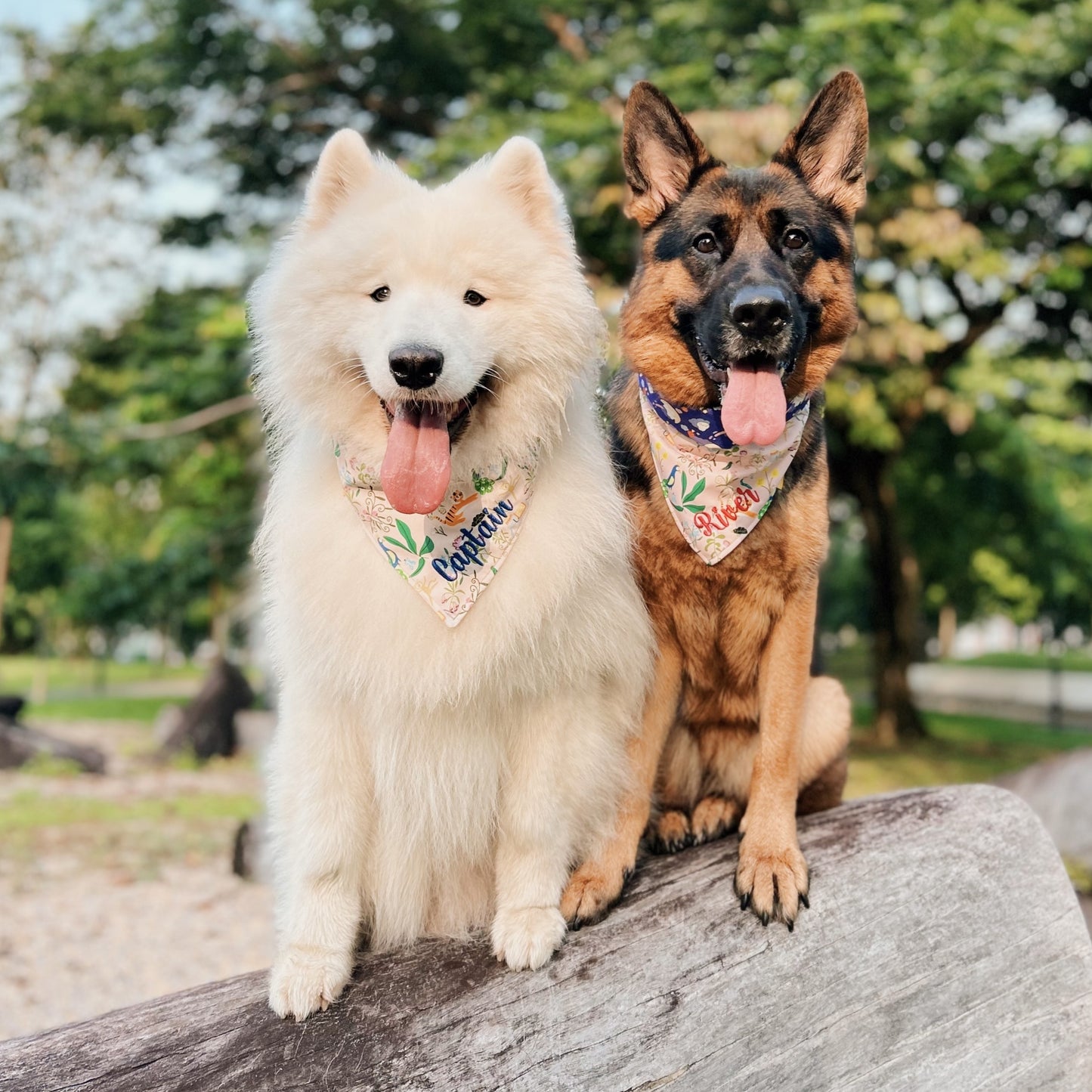 Rangoli Dreams Reversible Bandana (Pink)