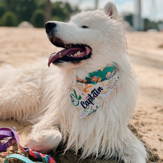 Rangoli Dreams Reversible Bandana (Beige)