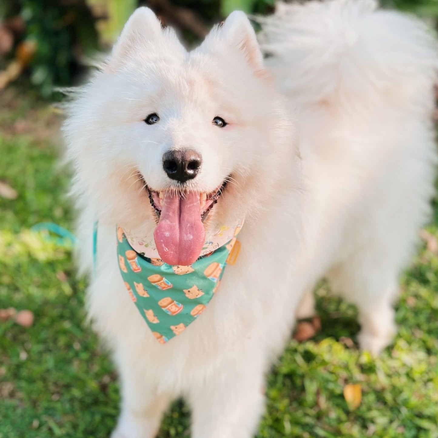 Tiger Balm Reversible Bandana