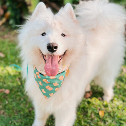Tiger Balm Reversible Bandana