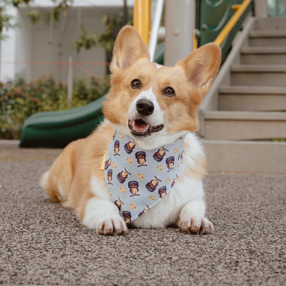 Tiger Beer Reversible Bandana