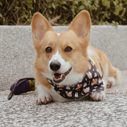 Doggo and Bone Reversible Bandana