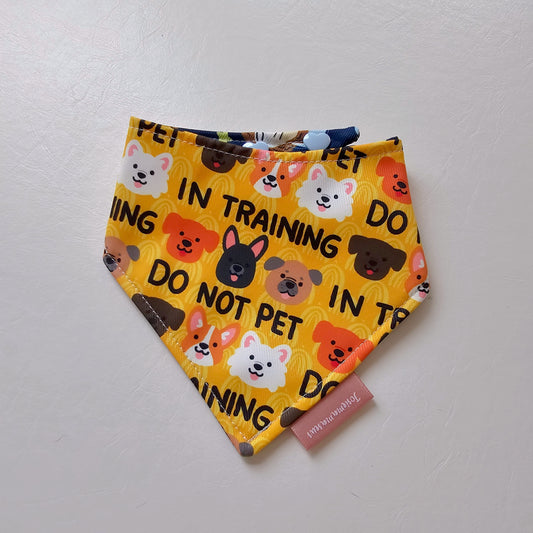 Space Hedgehog x In Training Size XS Reversible Bandana (curved)