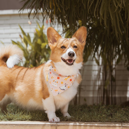 Spooky Fall Reversible Bandana