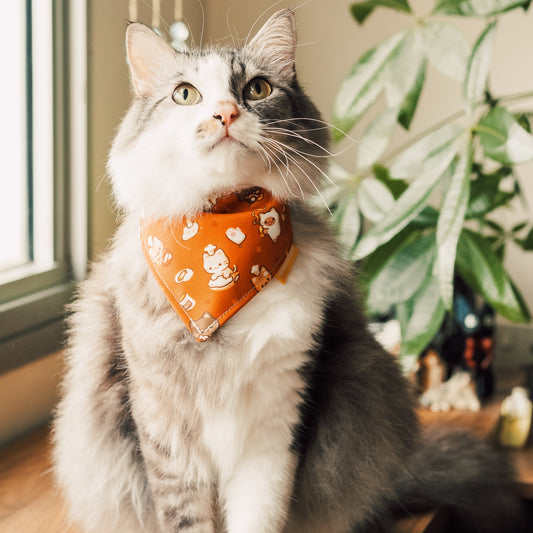 Making Biscuits Reversible Bandana