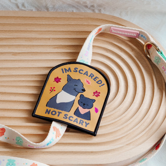 Im Scared Not Scary Message Patch