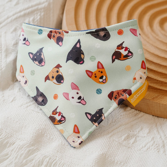 SS - Mixed Reversible Bandana