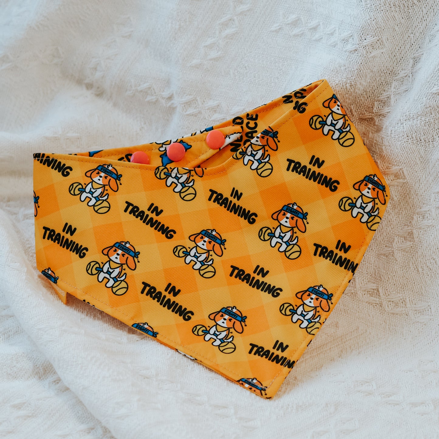 In Training (Tippy) Reversible Bandana