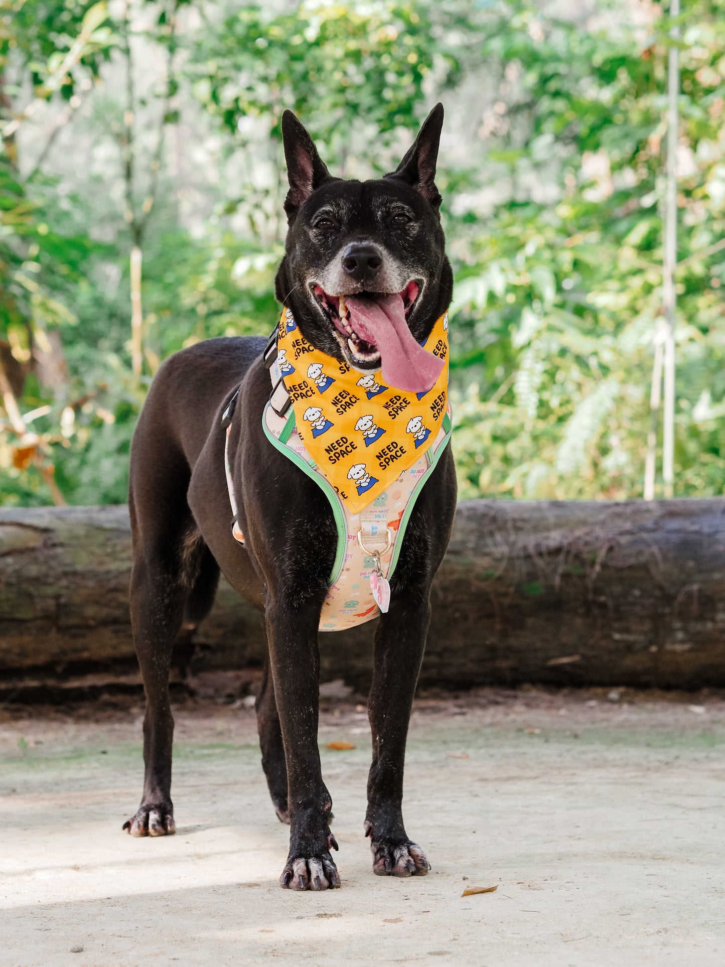 Need Space (Sammy) Reversible Bandana