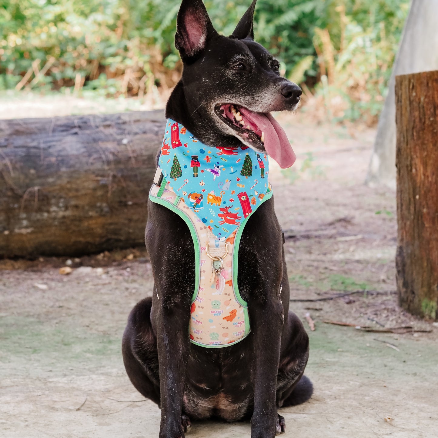 Nutcracker Reversible Bandana (Blue)