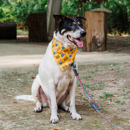 Do Not Disturb (Denny) Reversible Bandana