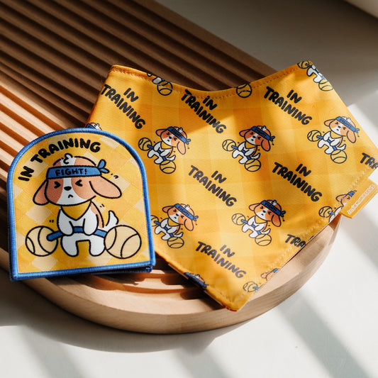 In Training (Yellow) Message Patch