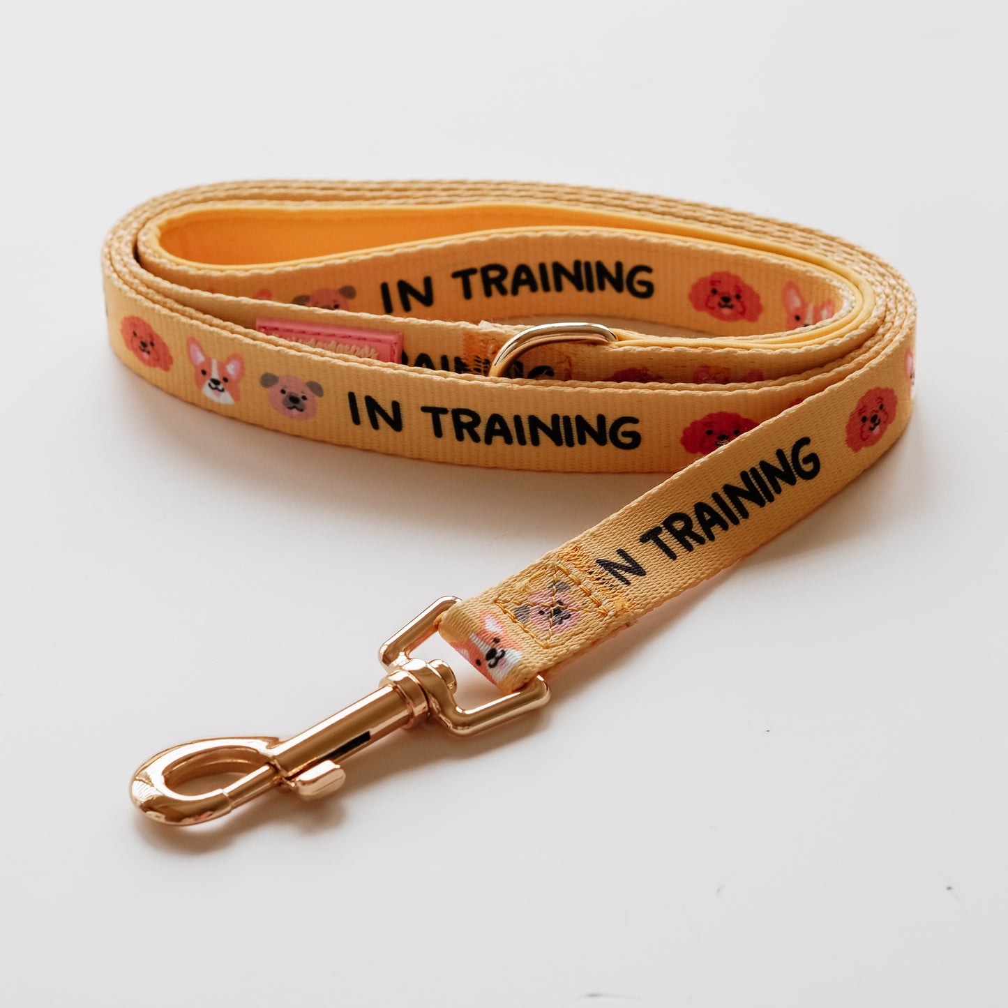 In Training Leash 1.5M