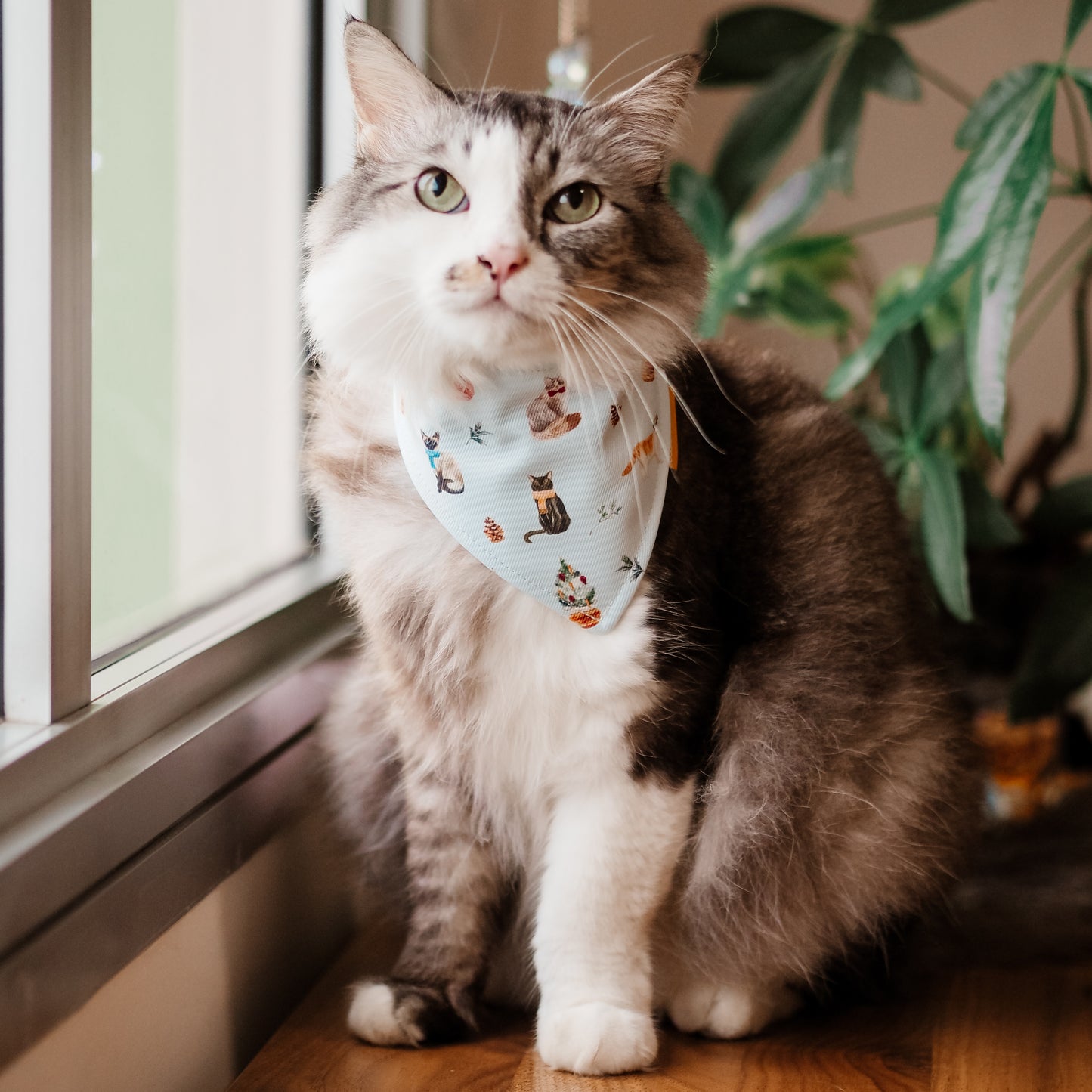 Meowy Christmas Reversible Bandana