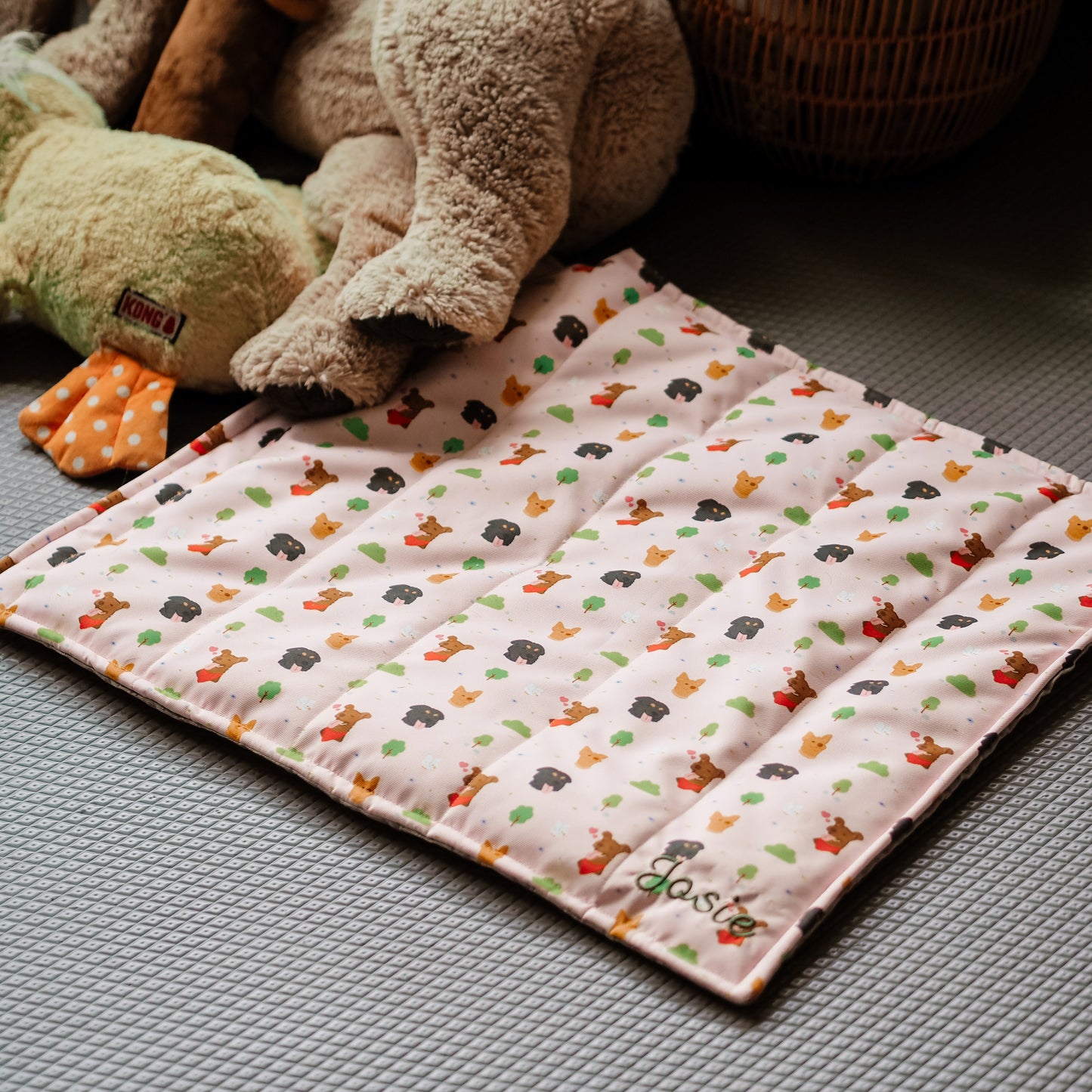 Personalised Chew Mat