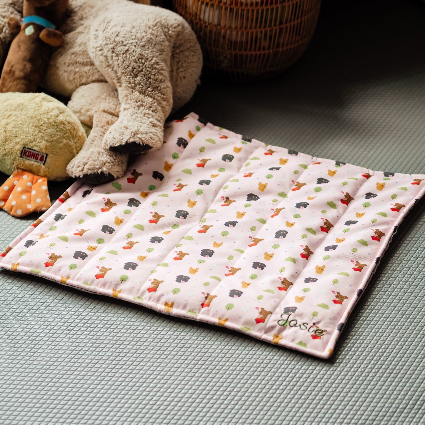 Personalised Chew Mat