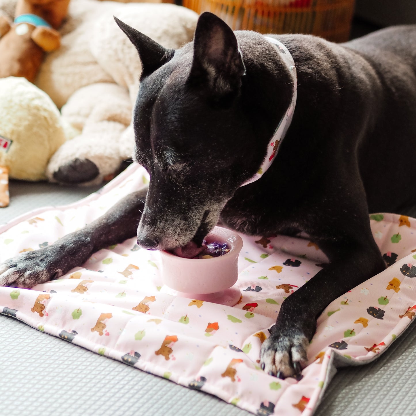 Personalised Chew Mat