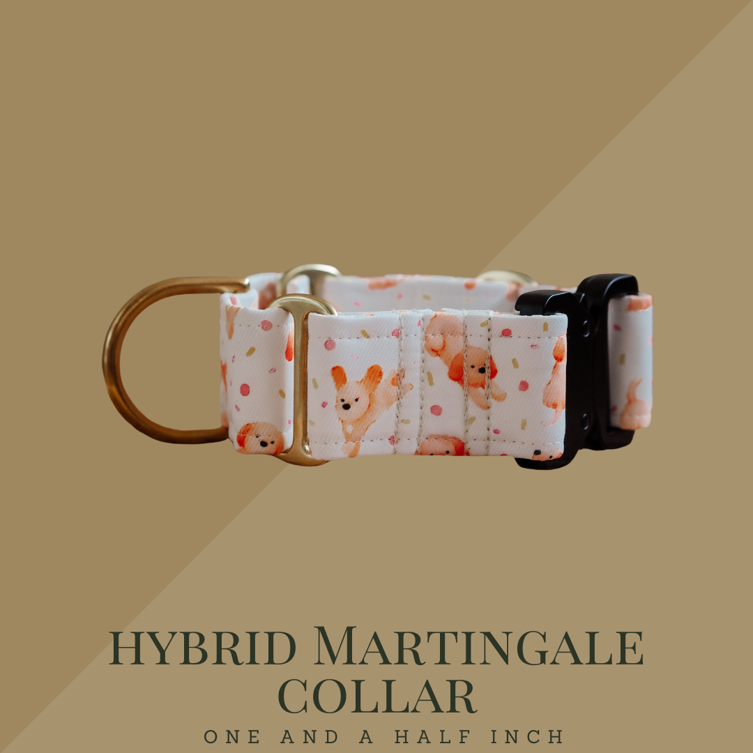 Hybrid Martingale Collar 1.5 Inch (Black)