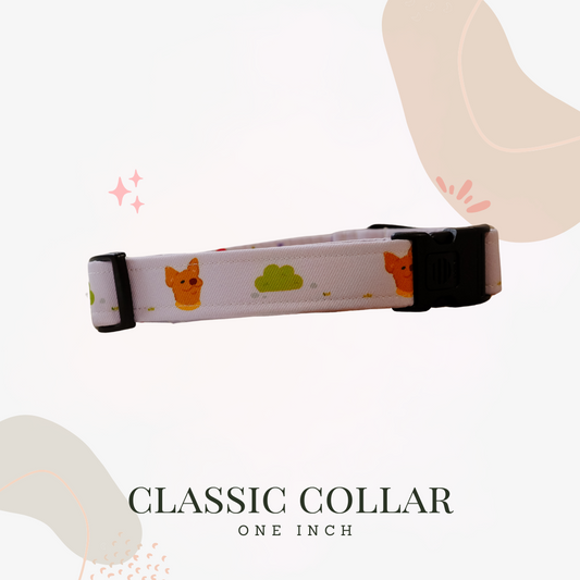 Classic Collar 1 Inch