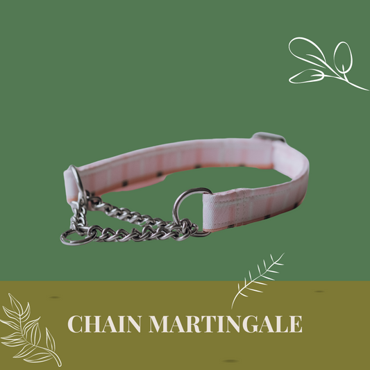 Chain Martingale Collar