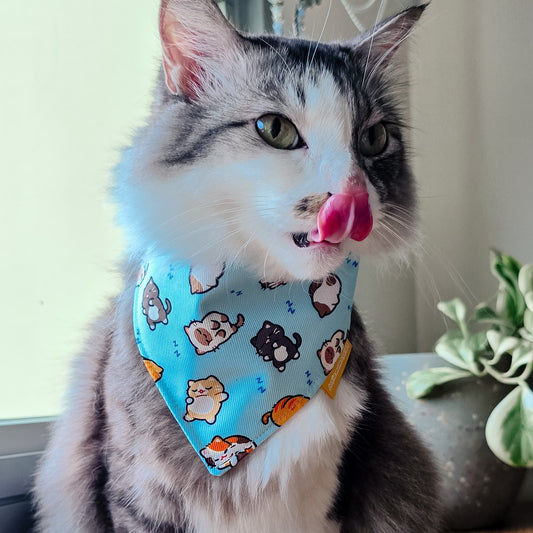 Cozy Cats Reversible Bandana