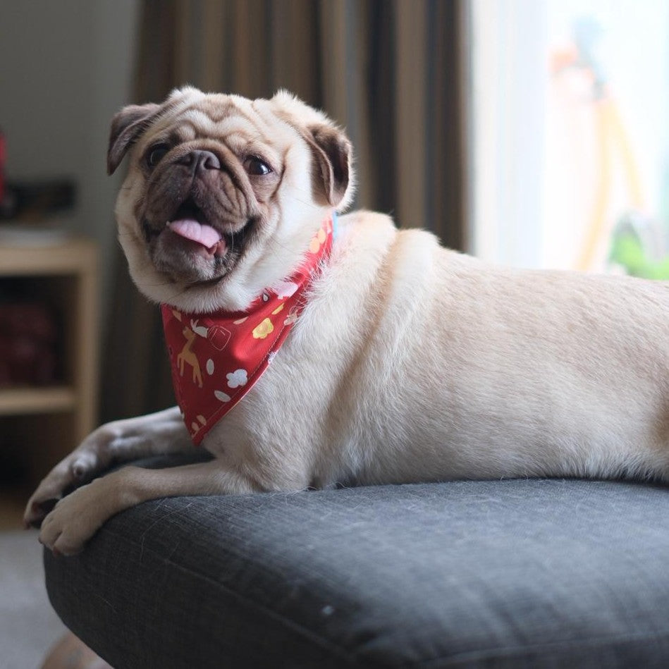 Zodiac Parade Reversible Bandana (Red)