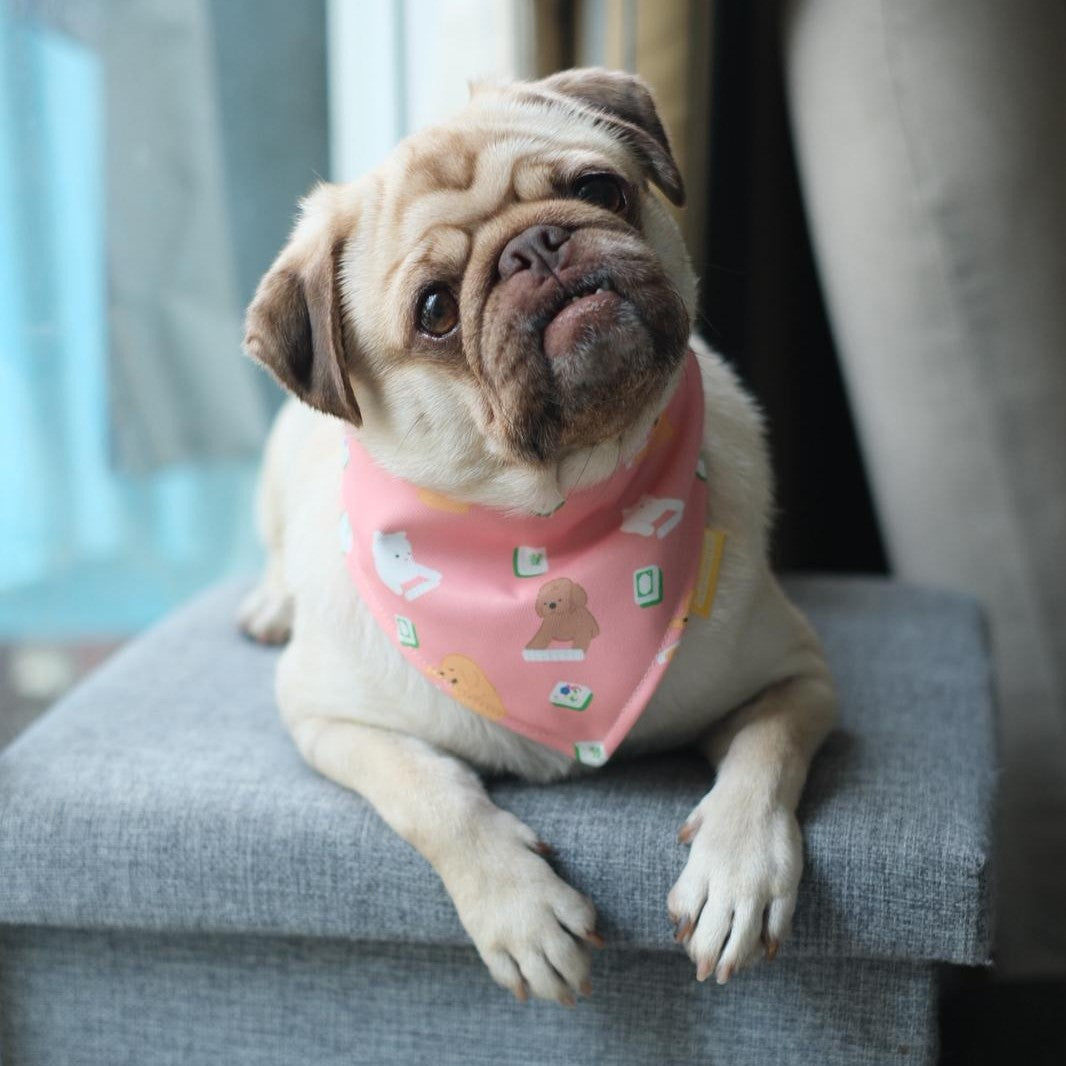 Mahjong Paws Reversible Bandana
