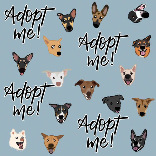 Adopt Me Bandana - Print (Discounted pricing)